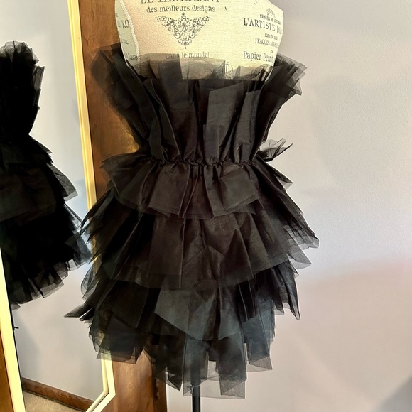 Audrey Parks Mini Tiered Tulle Dress 🖤 - Picture 9 of 9